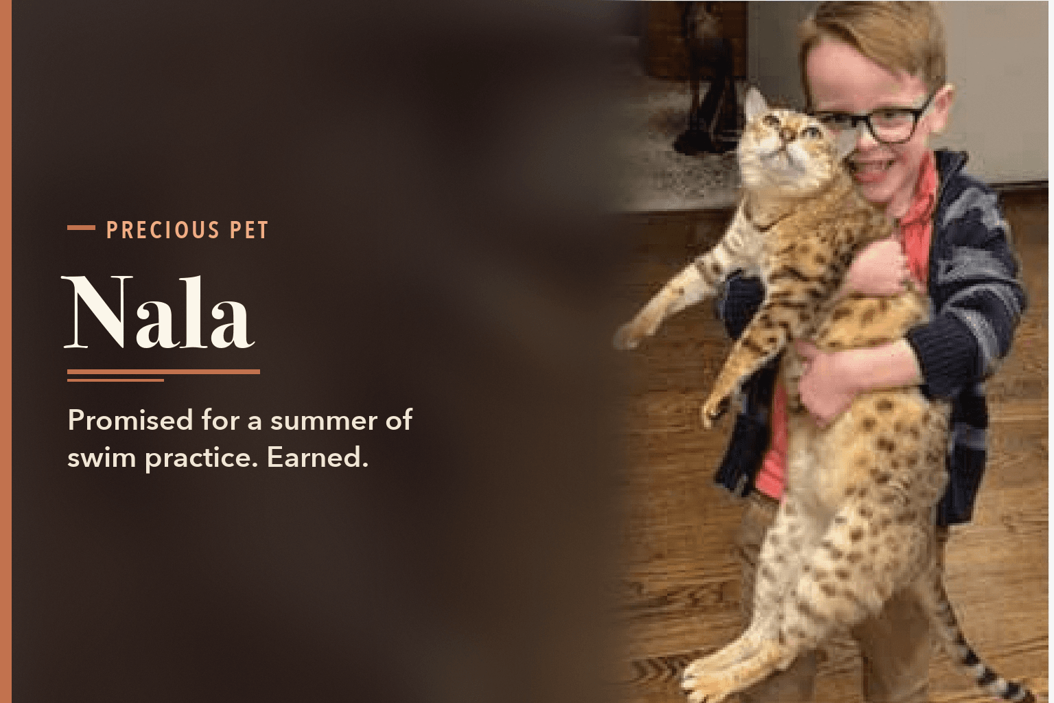 Nala, a spotted snow lynx Bengal cat, held up in the arms of one of the Barthel boys. Text reads: Precious Pet. Nala. Promised for a summer of swim practice. Earned.